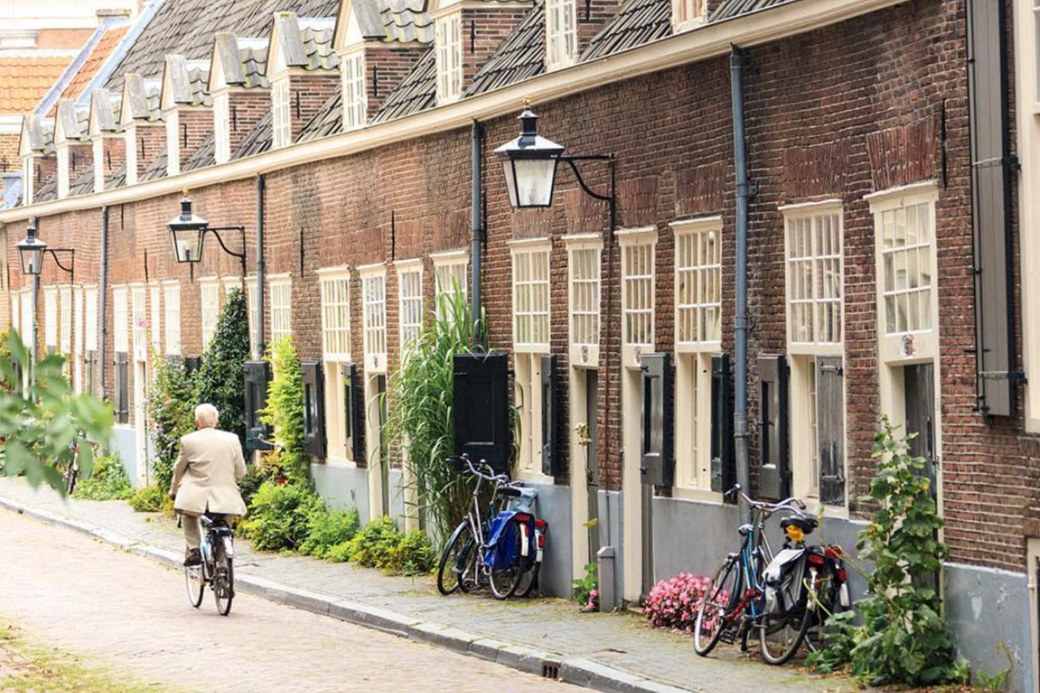 Old person biking in the Netherlands
