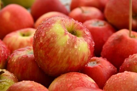 Climate Chance Could Make These Foods Poison