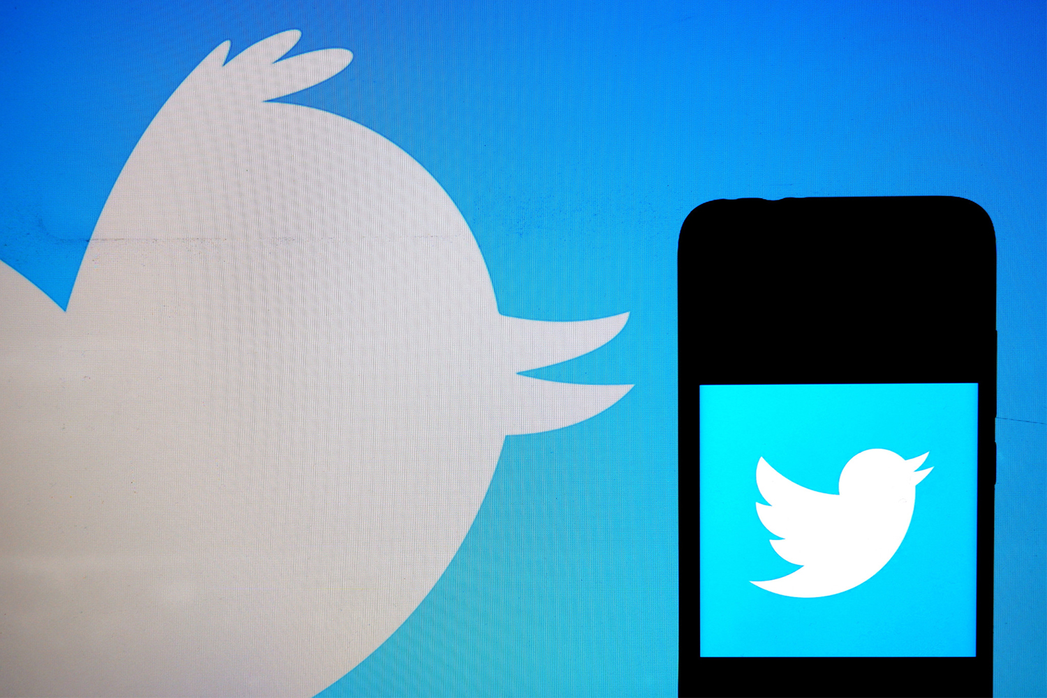Twitter Fleets