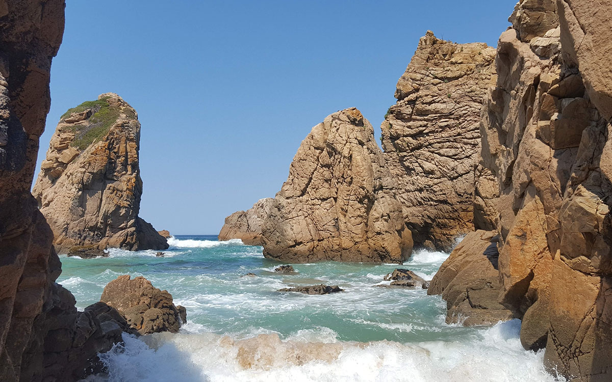 Report: Neanderthals Were Apparently Huge Fans of Seafood