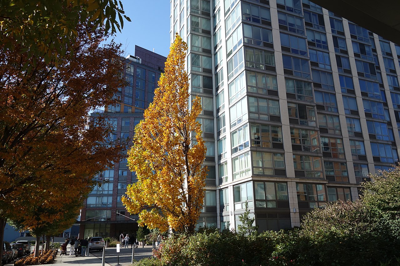 Apartment buildings