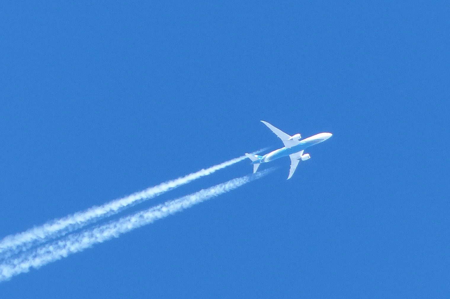 787 in flight