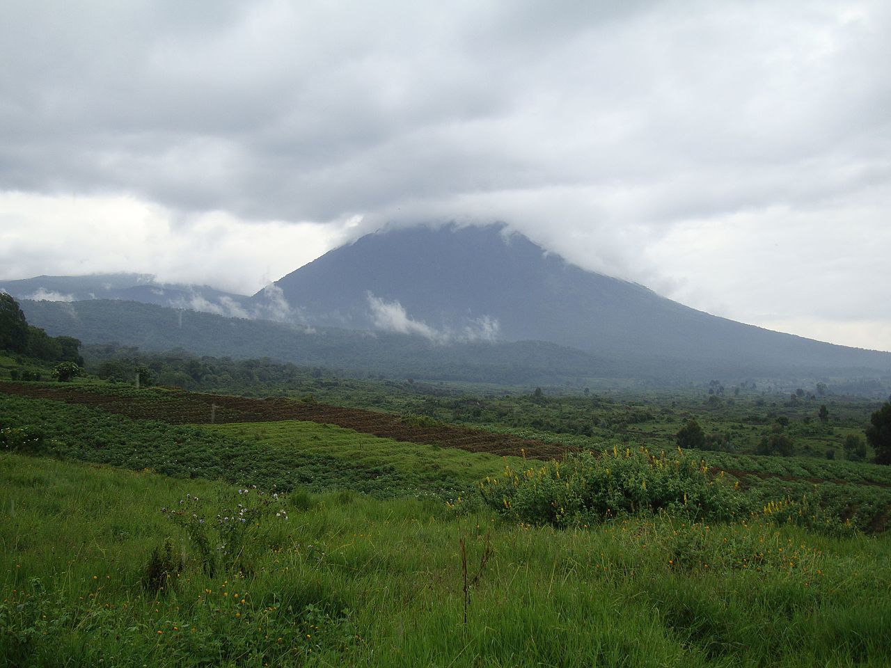 Virunga National Park