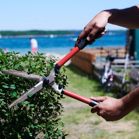 Does Yardwork Count as Exercise?