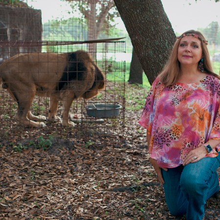 Carole Baskin of "Tiger King"