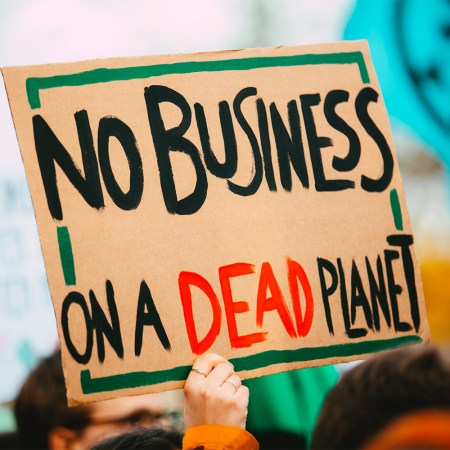 Holding up a protest sign at a climate change rally