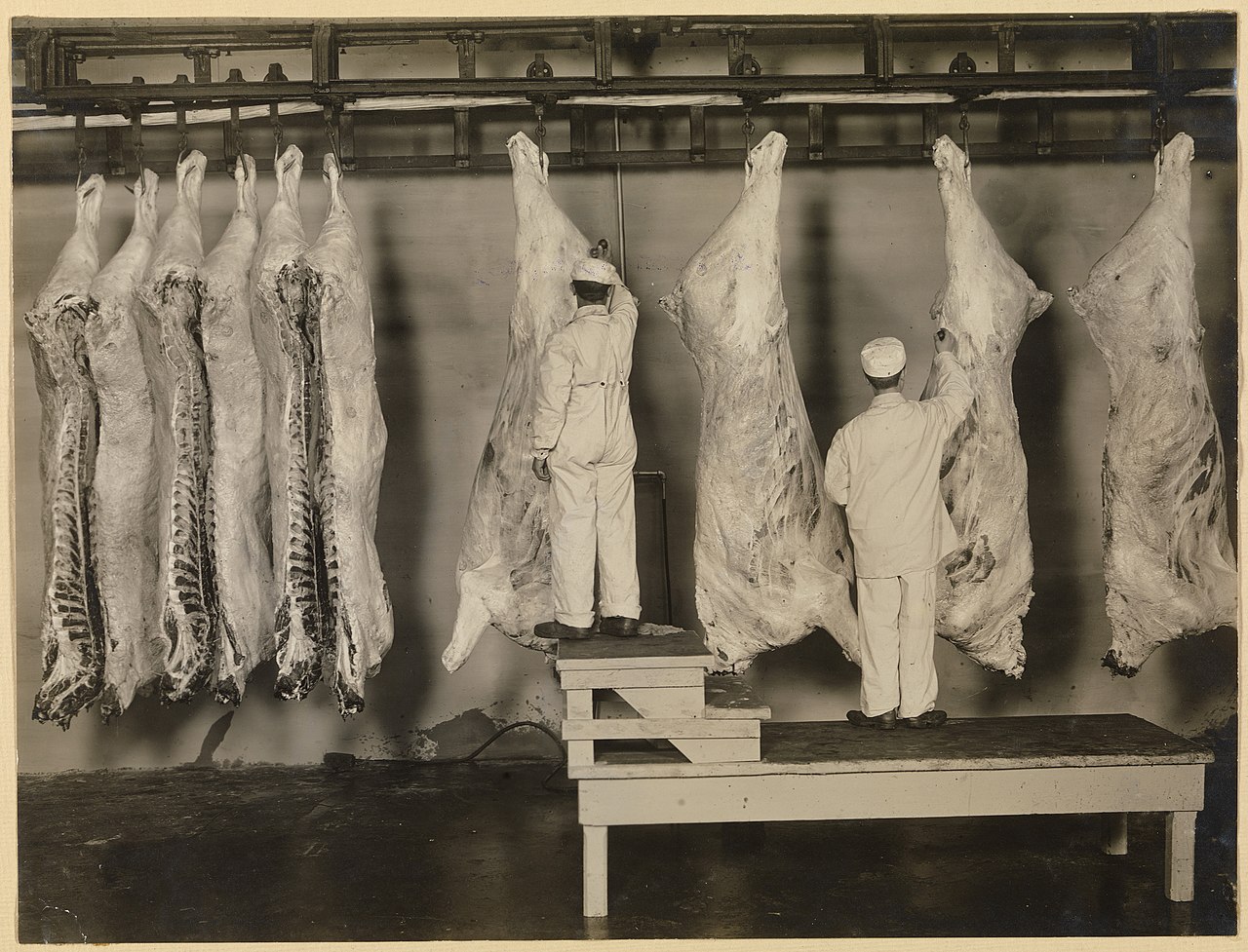 Meat inspection