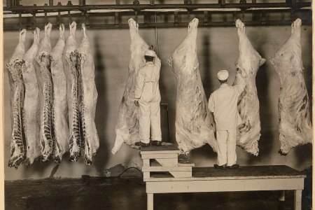 Meat inspection