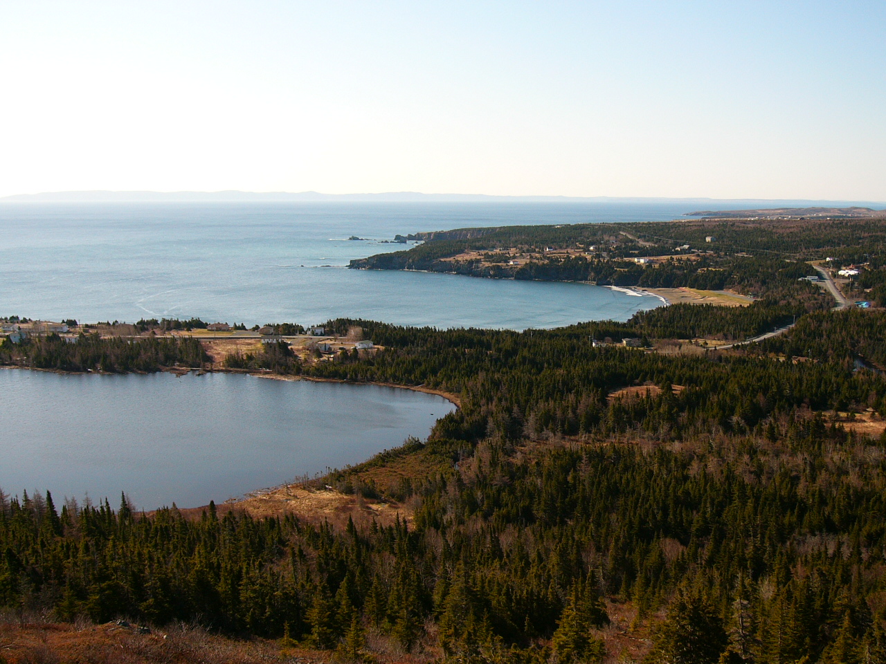 Newfoundland