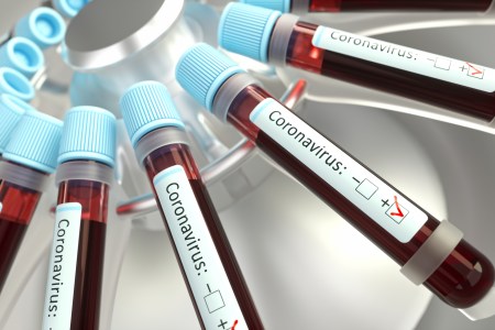 coronavirus parties