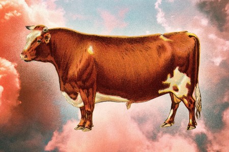 future of meat eating america