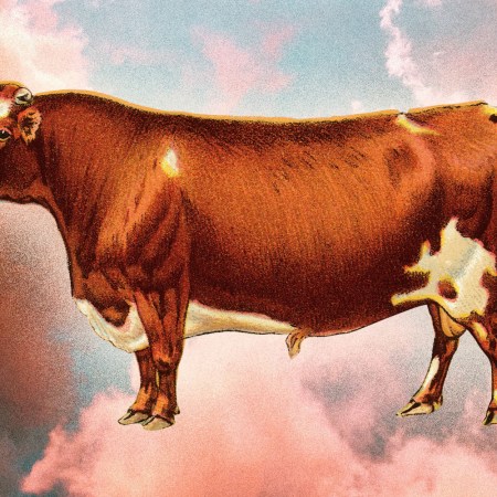 future of meat eating america