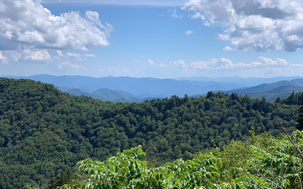 Some Appalachian Trail Hostels Are Inventing Their Own Lockdown Rules
