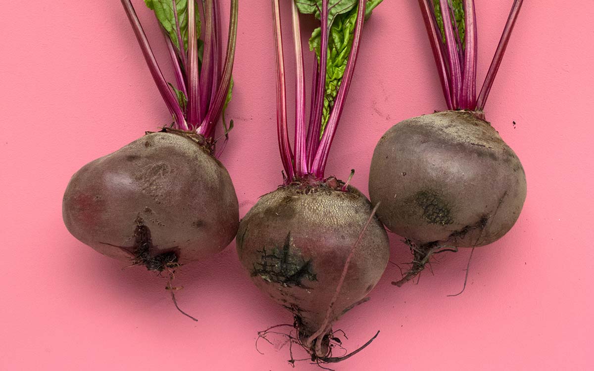 A photo of beets taken from the ground and tied together.