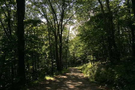 George Washington National Forest
