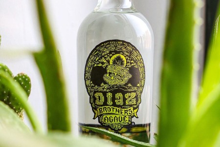 diaz brothers agave mezcal