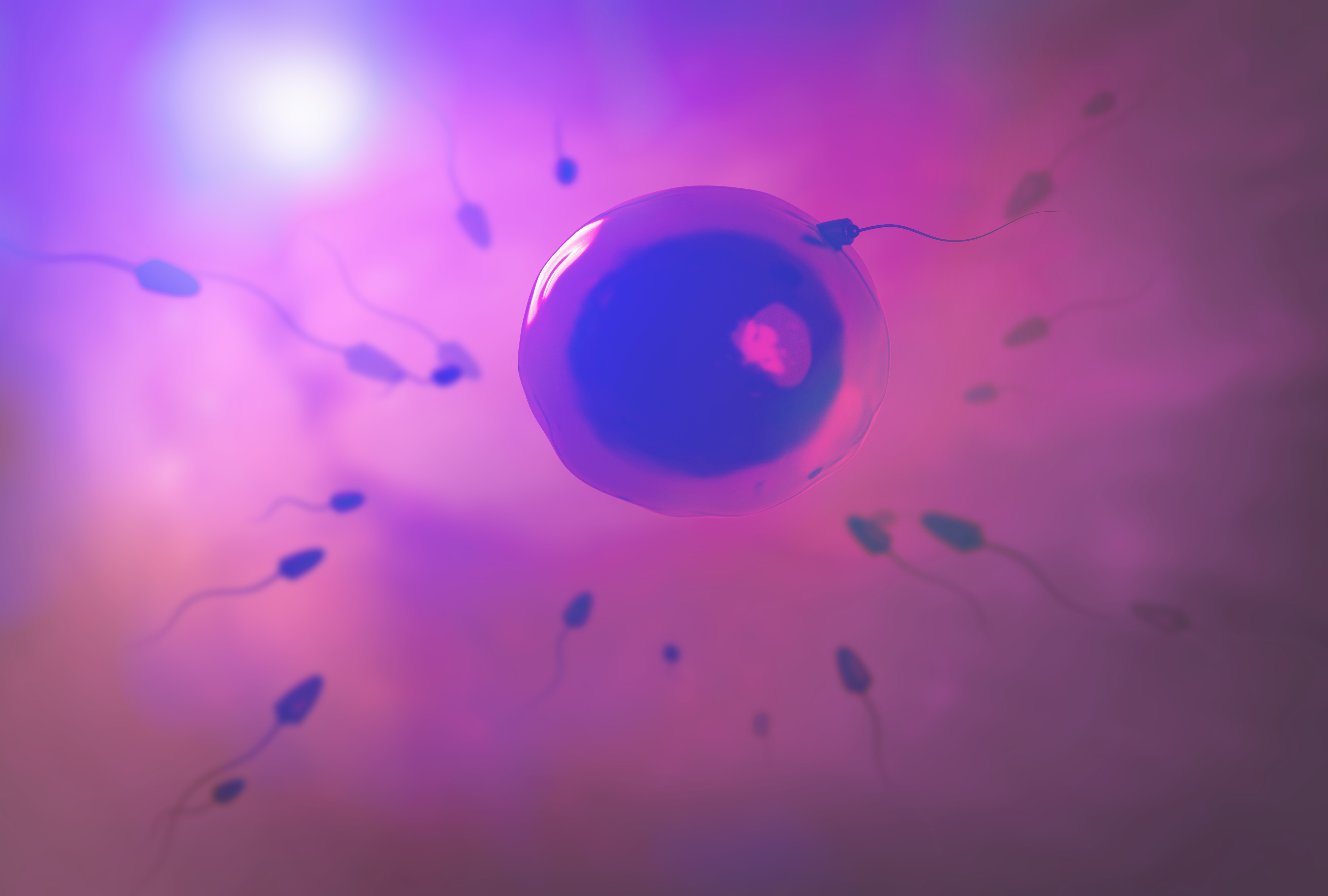fertility