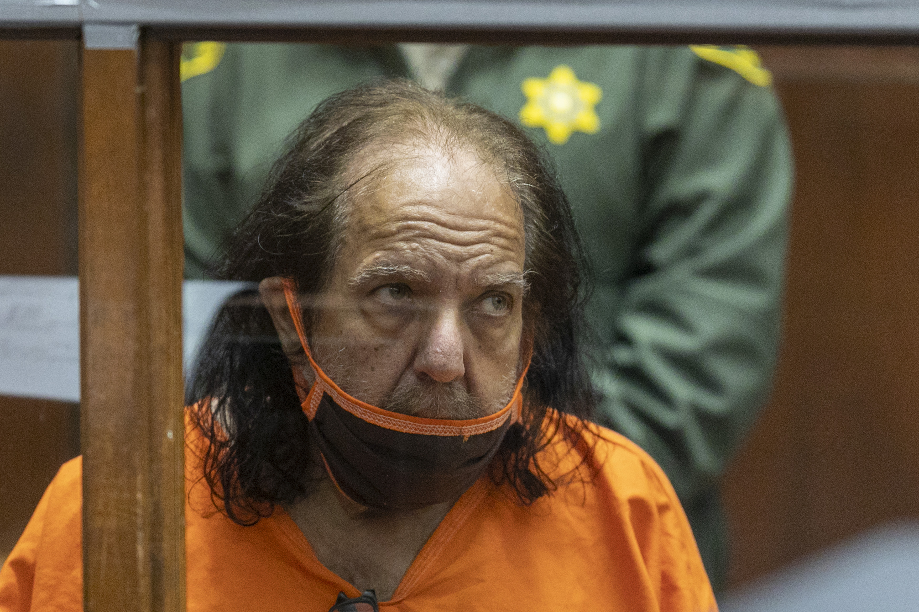 ron jeremy plea