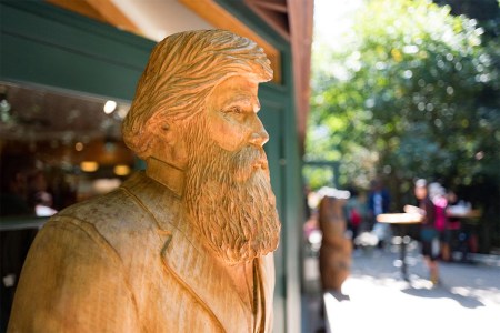 The Environmental Organization John Muir Founded Is Coming to Grips With His Racism