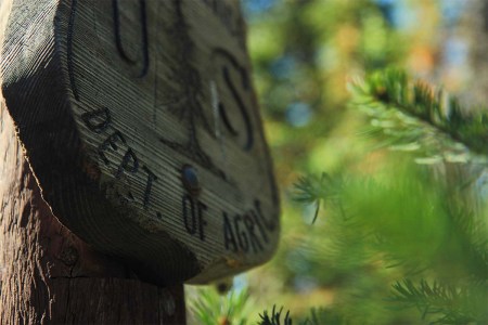 The U.S. Secretary of Agriculture Wants to Extract More Resources from National Forests