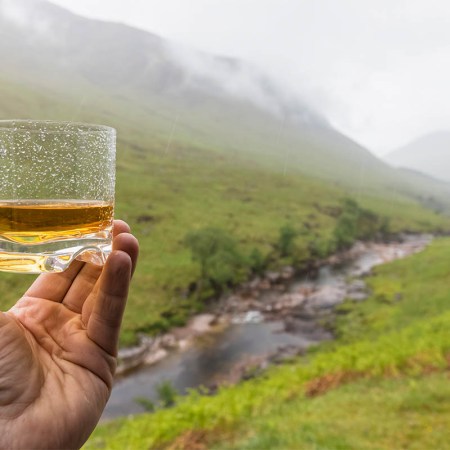Scotch