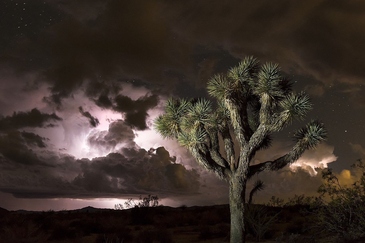 Stormclouds