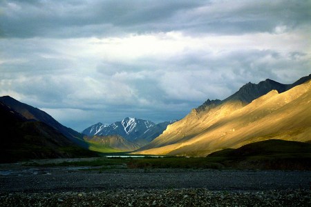 Arctic Wildlife Refuge