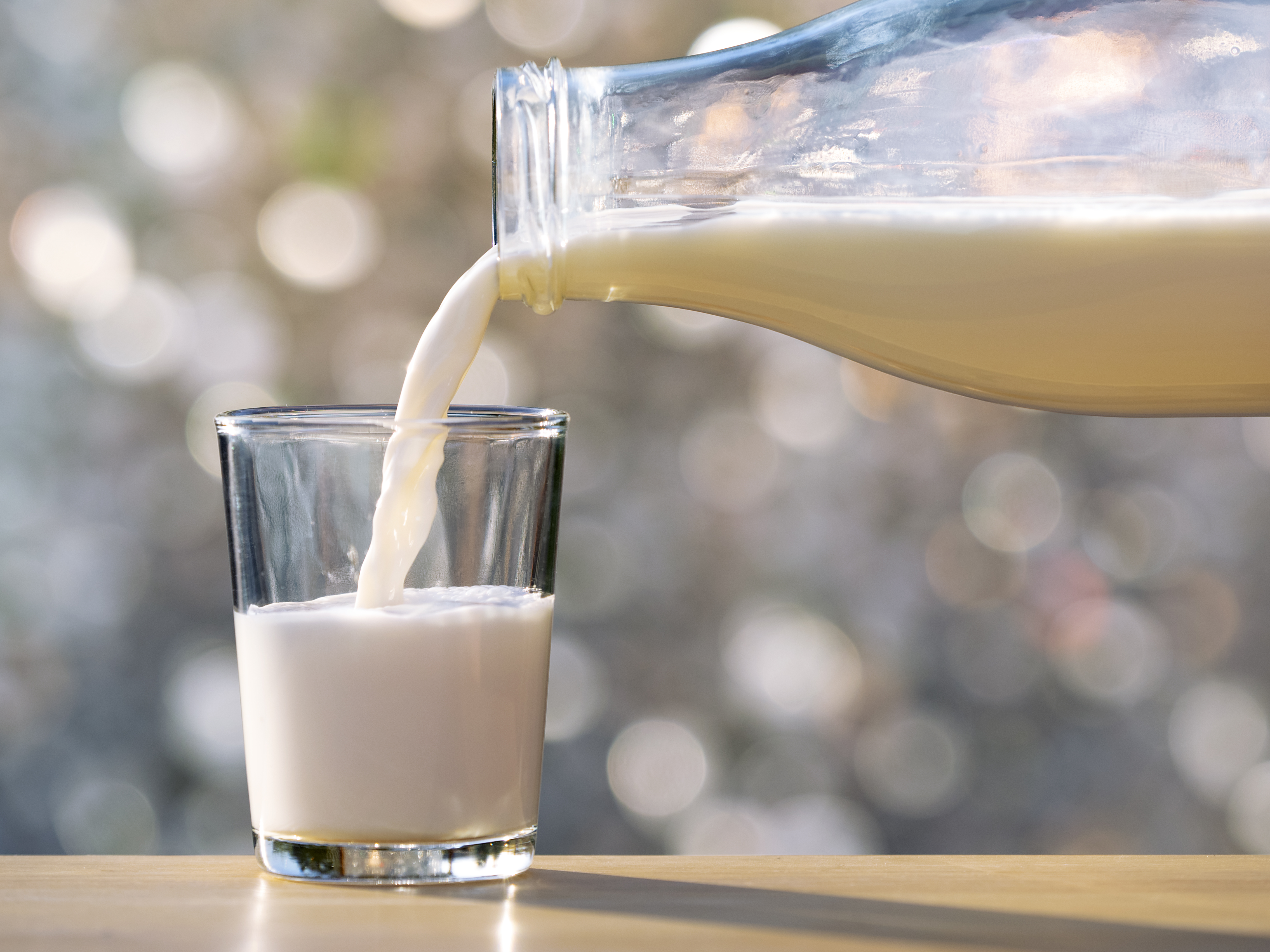 Got Milk?