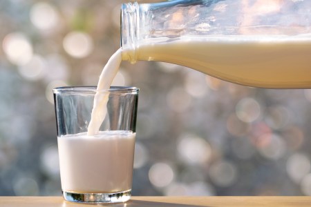 Got Milk?