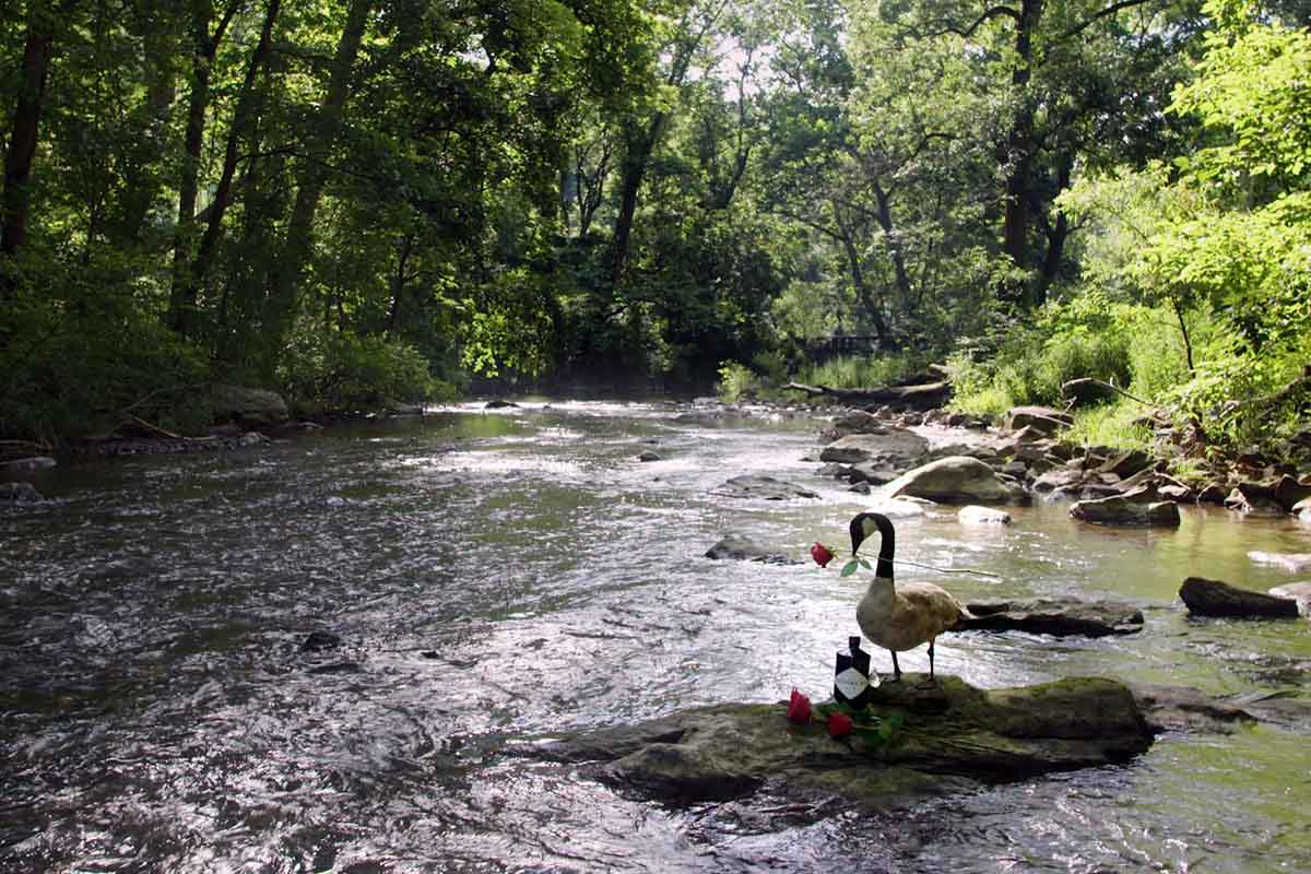 One of the literal streams that Hendrick's Gin is streaming online