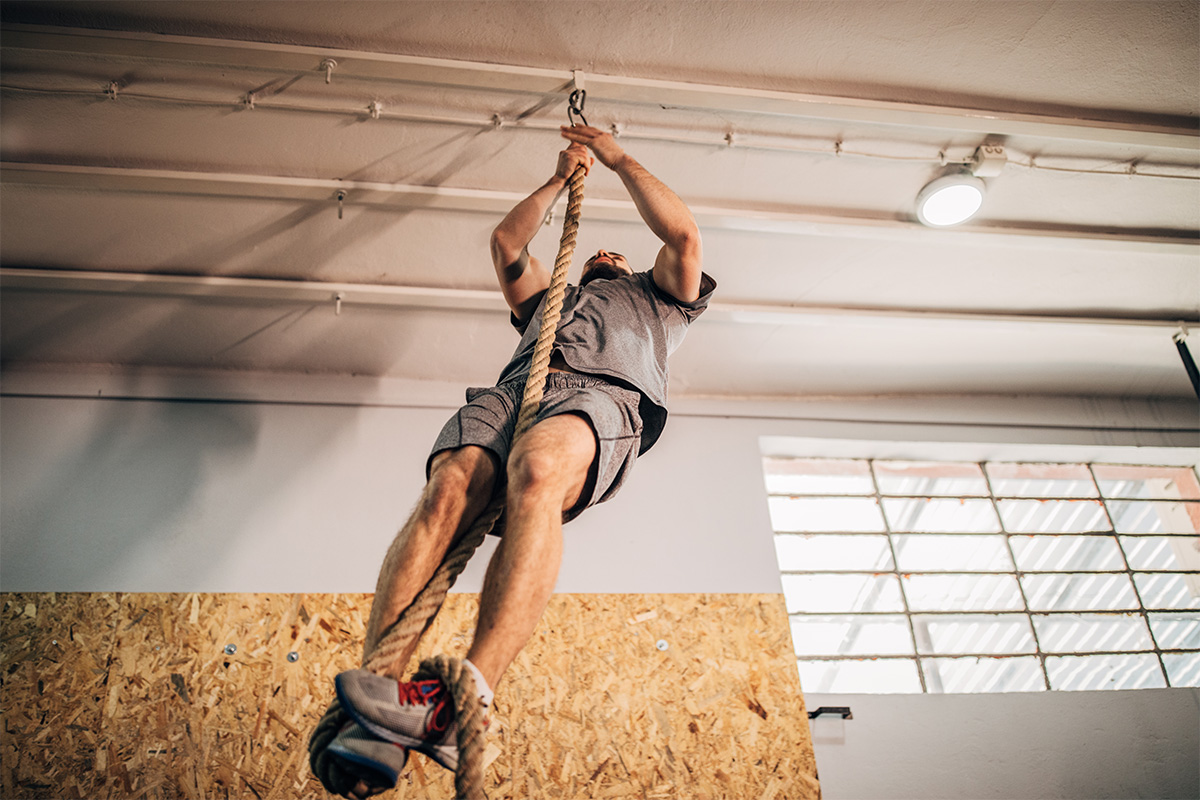 Fitness equipment recommended by 10 trainers, including core wheels, gymnastic rings, yoga blocks, dumbbells and a punching bag