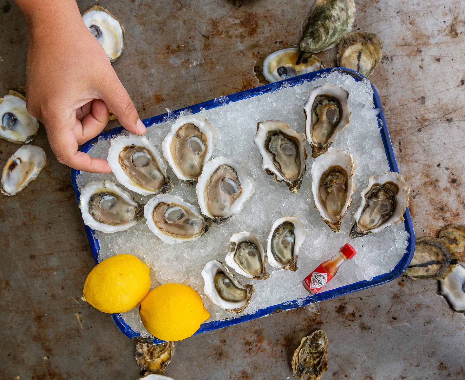 Hog Island oysters