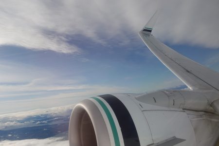 Airplane wing