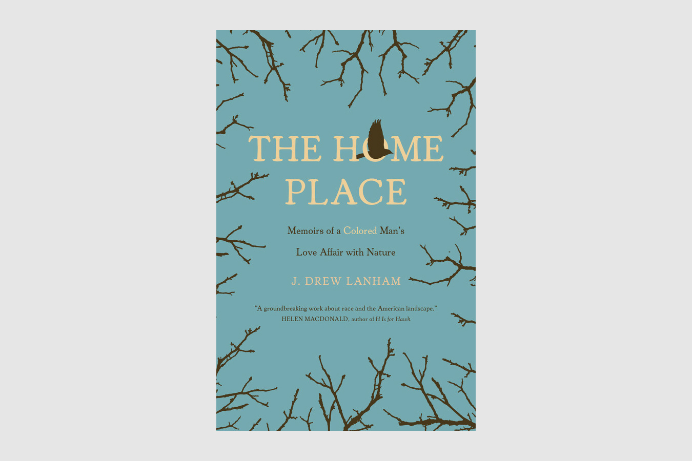 the home place drew lanham
