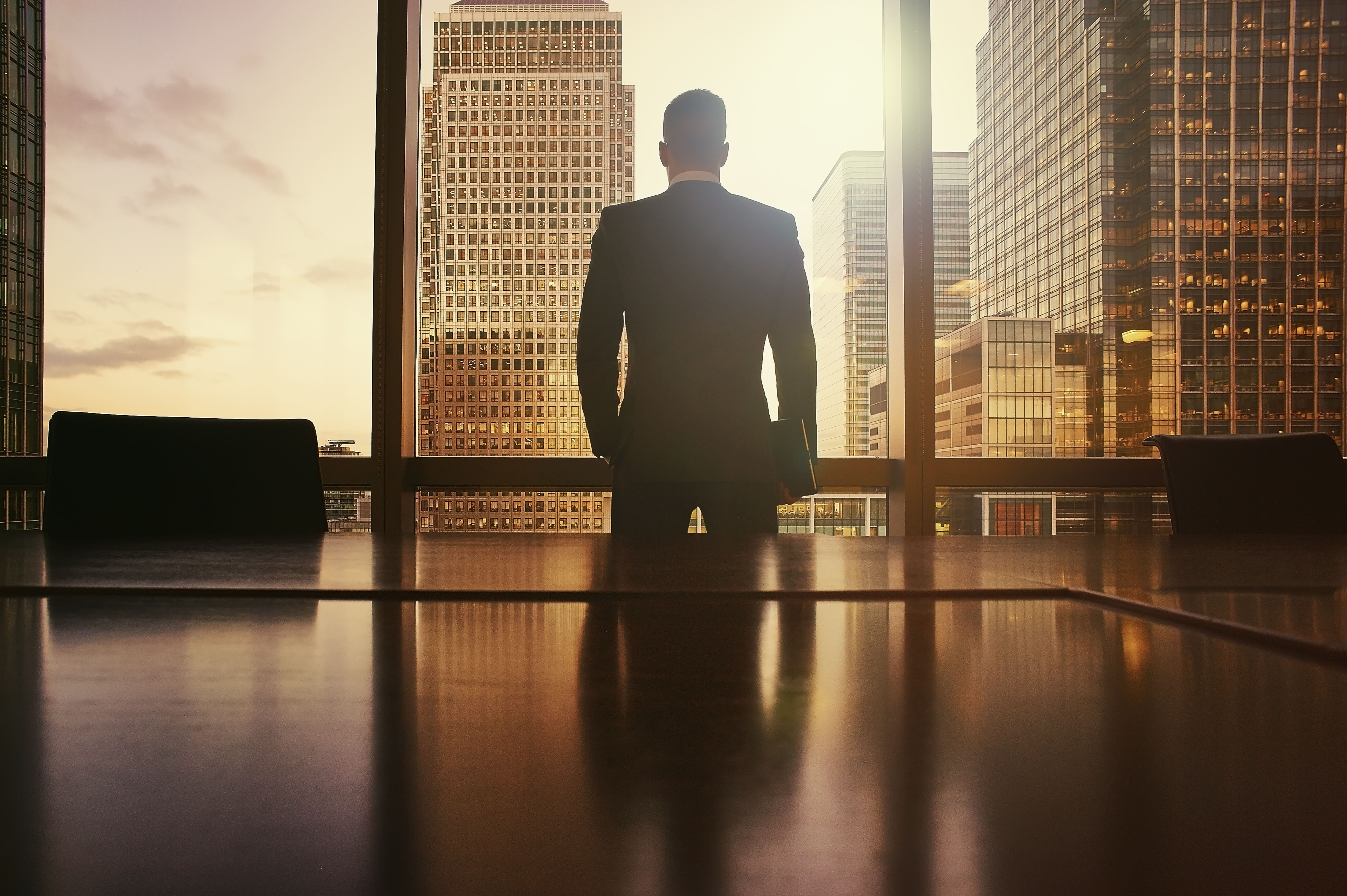 CEO or businessman in office