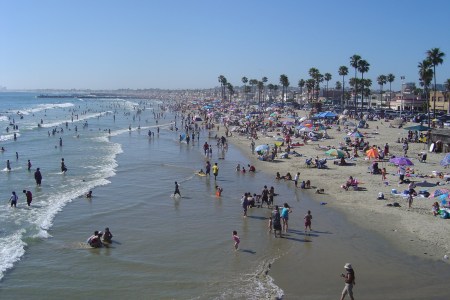 spring break