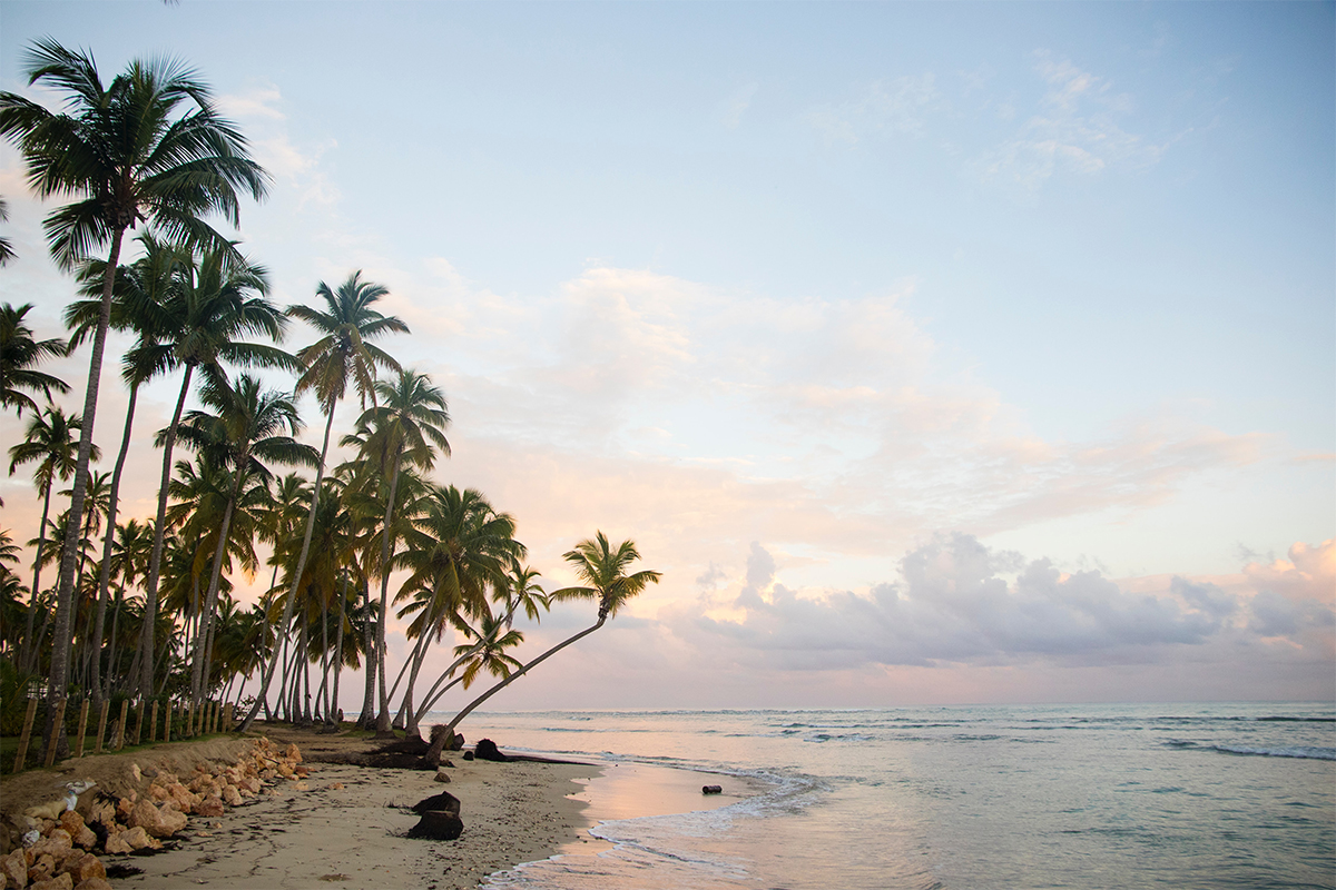 caribbean beach