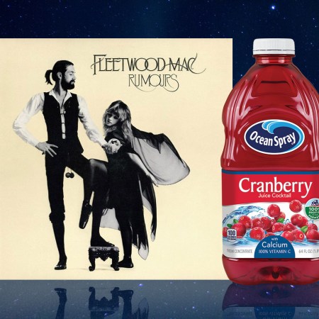 fleetwood mac meme