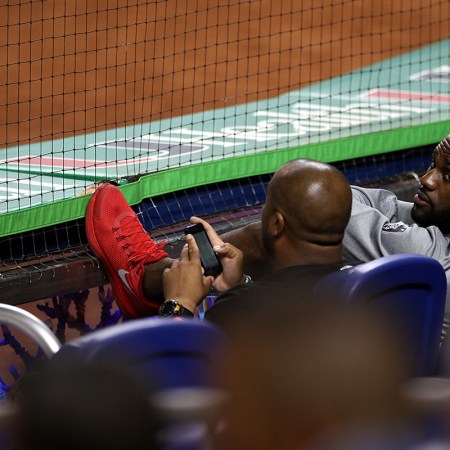 lebron james baseball