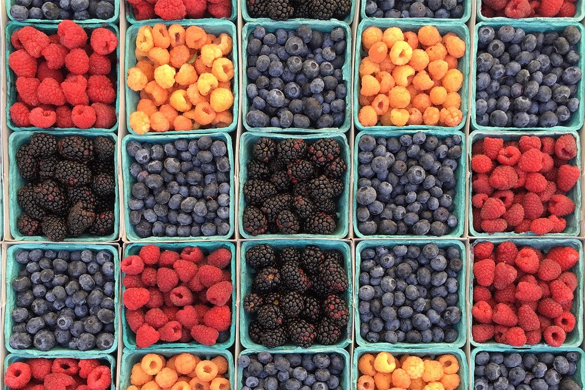 A high angle view of a bowl of blueberries, one of the best foods you can eat to beat morning anxiety