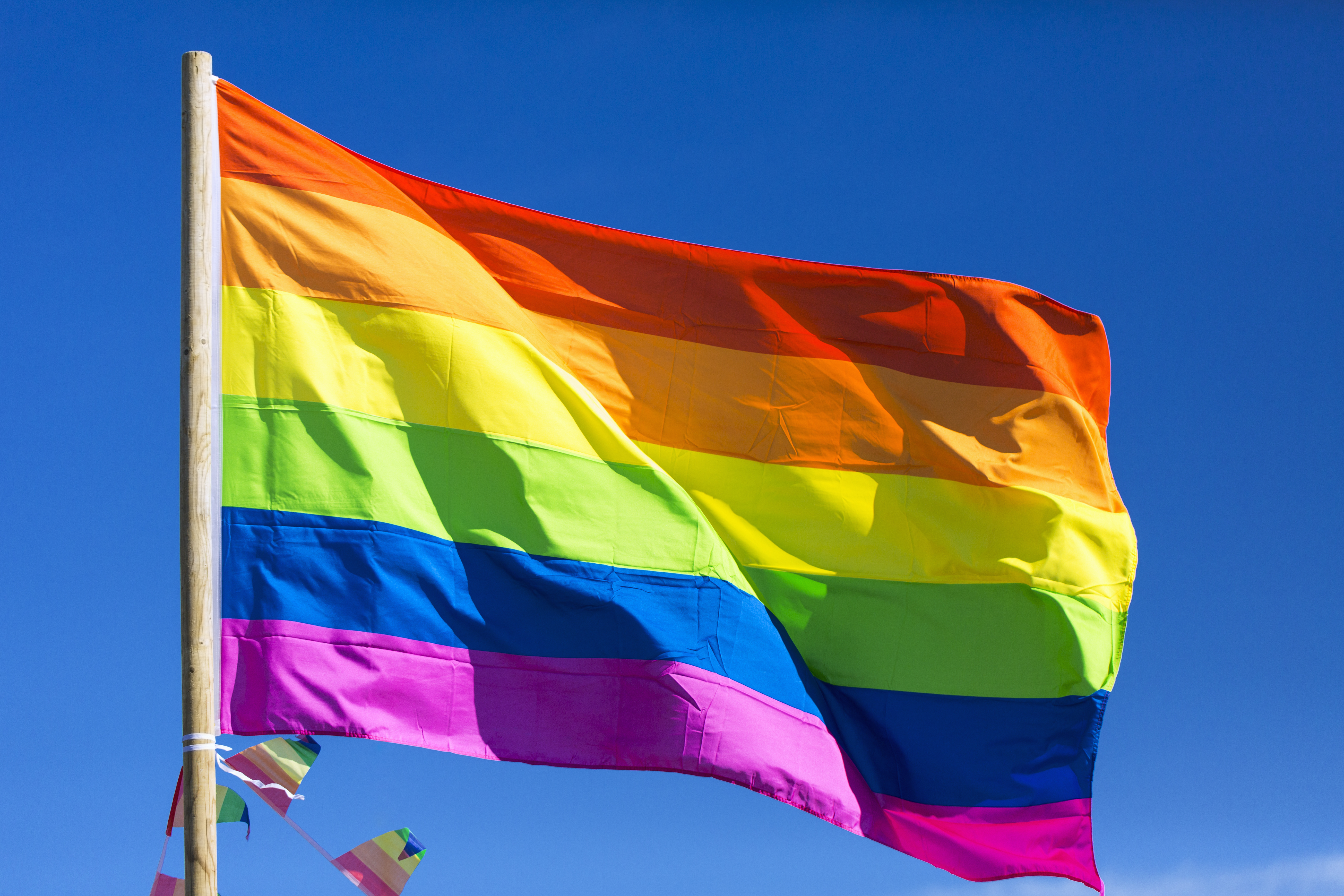 pride flag