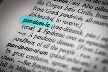 word "pandemic" highlighted in dictionary