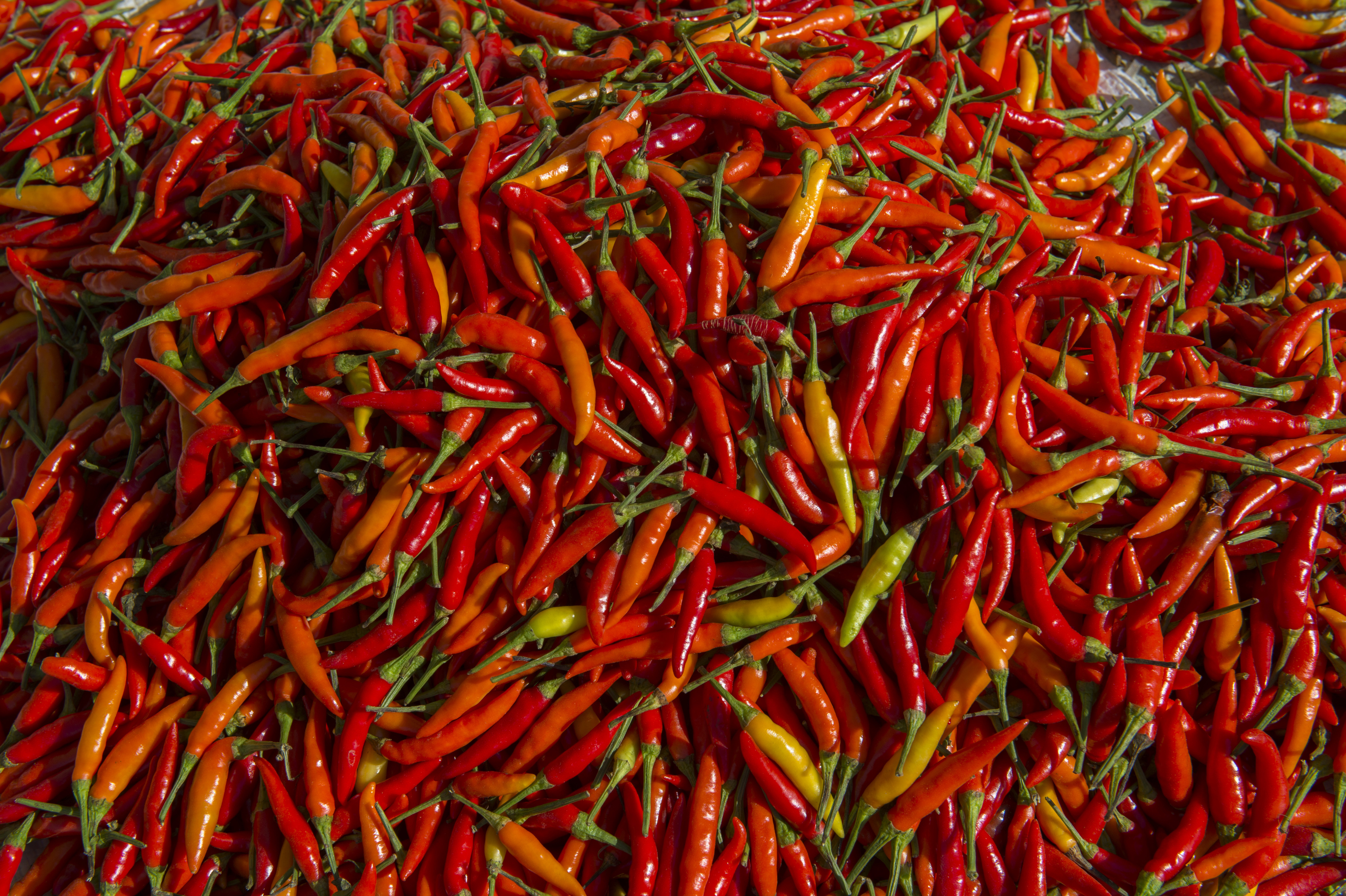 chili peppers