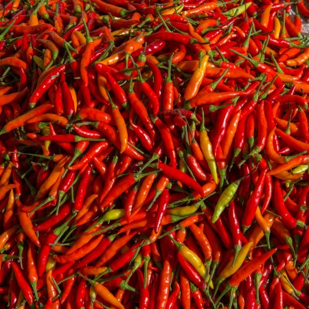 chili peppers