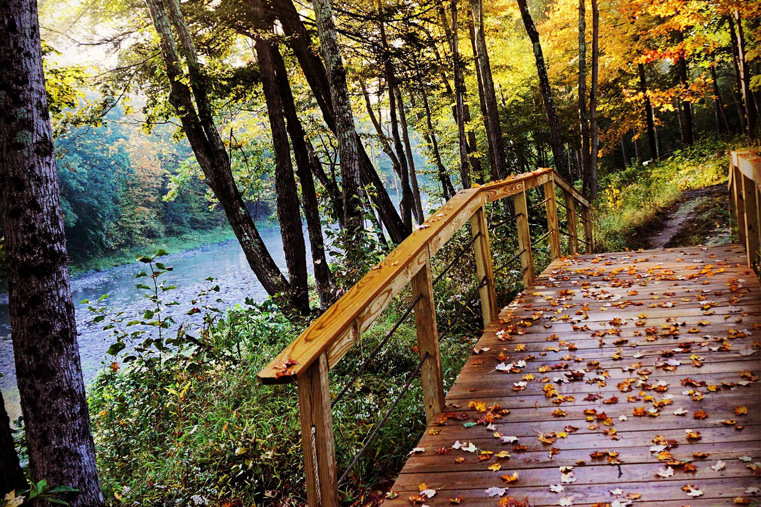 bridge near river
