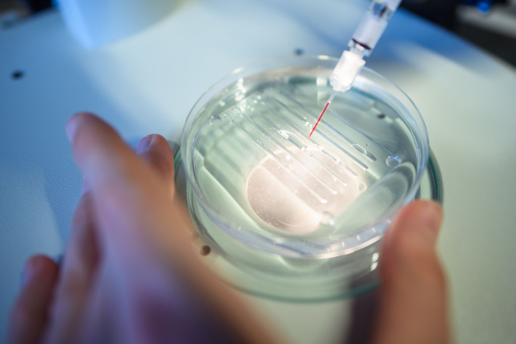 CRISPR