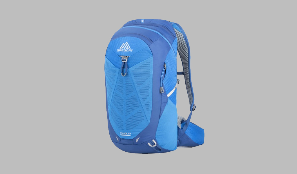 Gregory Miwok Backpack