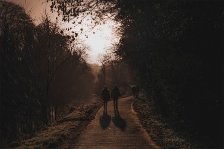 thanksgiving walk