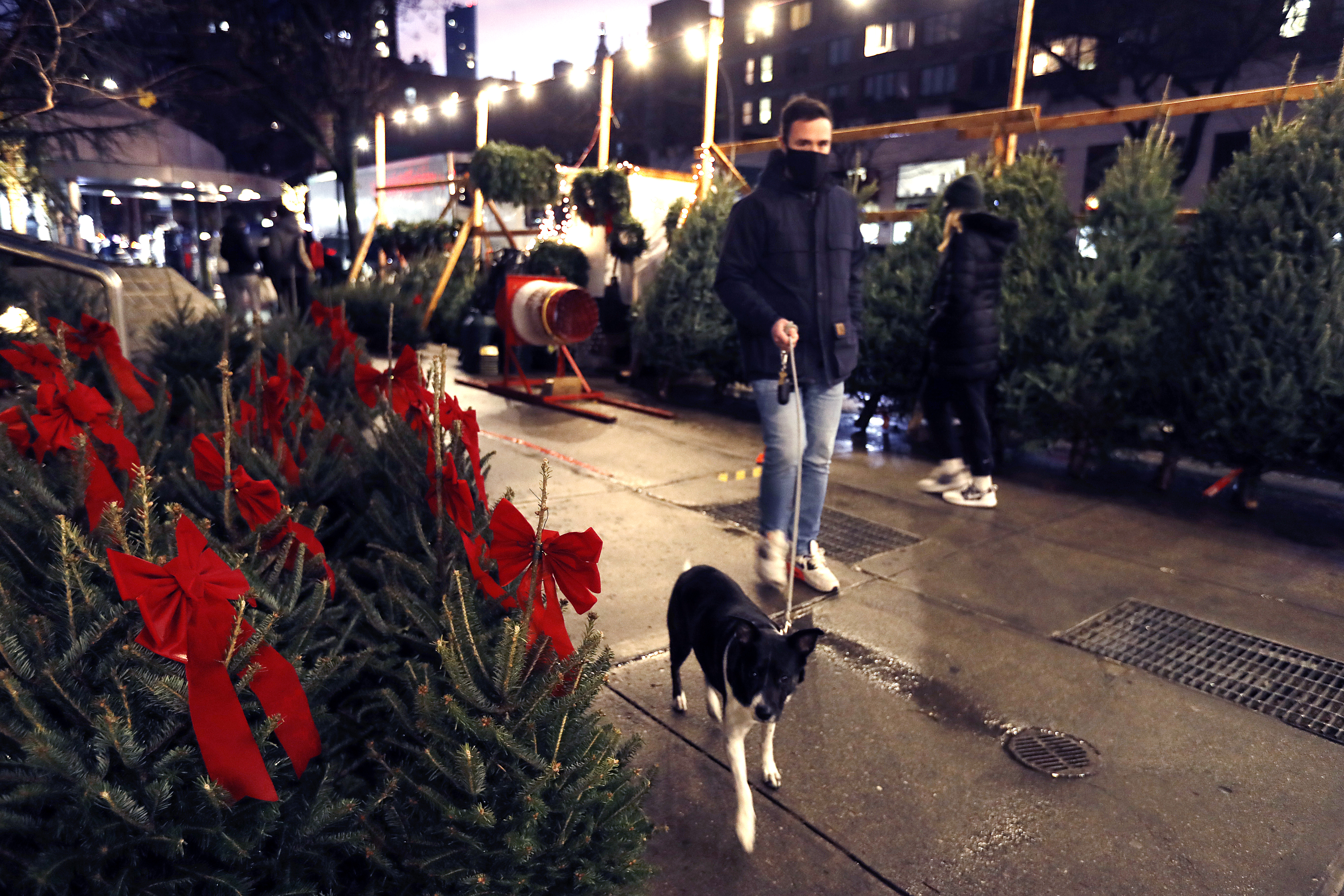 christmas trees on sidewalk