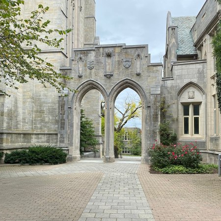 Princeton University
